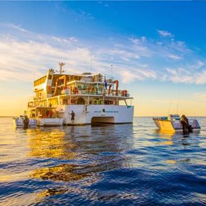 abrolhos island cruises