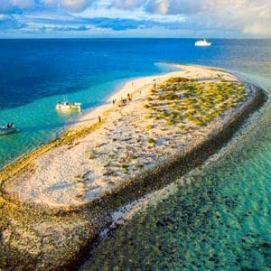 abrolhos cruises