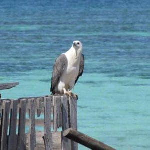abrolhos islands discovery tours