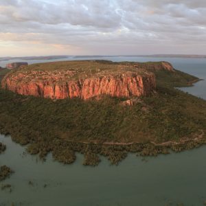 Aerial