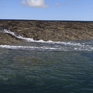 Montgomery Reef 2