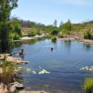 Water Hole