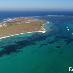 MASTER ABROLHOS SLIDESHOW 2018 105