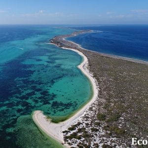 MASTER ABROLHOS SLIDESHOW 2018 107