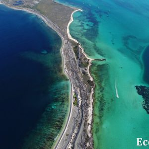 MASTER ABROLHOS SLIDESHOW 2018 108