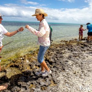 MASTER ABROLHOS SLIDESHOW 2018 112