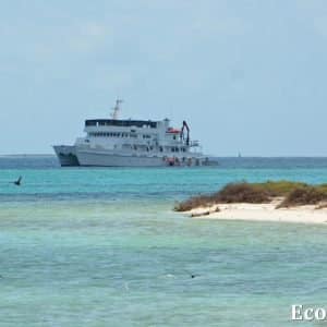 MASTER ABROLHOS SLIDESHOW 2018 114
