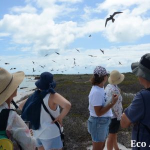 MASTER ABROLHOS SLIDESHOW 2018 115