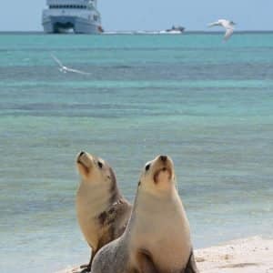 MASTER ABROLHOS SLIDESHOW 2018 120