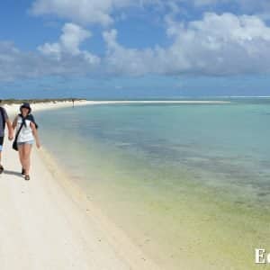 MASTER ABROLHOS SLIDESHOW 2018 128