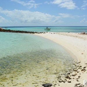 MASTER ABROLHOS SLIDESHOW 2018 129
