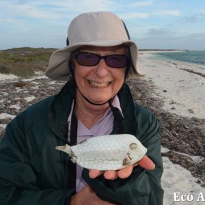 MASTER ABROLHOS SLIDESHOW 2018 131