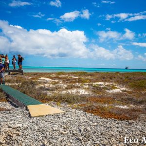 MASTER ABROLHOS SLIDESHOW 2018 132