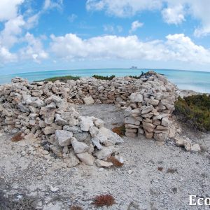 MASTER ABROLHOS SLIDESHOW 2018 136