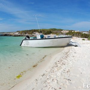 MASTER ABROLHOS SLIDESHOW 2018 137