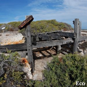 MASTER ABROLHOS SLIDESHOW 2018 138