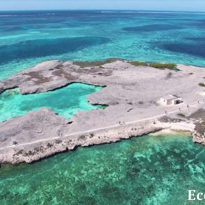 MASTER ABROLHOS SLIDESHOW 2018 141