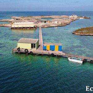 MASTER ABROLHOS SLIDESHOW 2018 142
