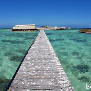 MASTER ABROLHOS SLIDESHOW 2018 144