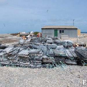 MASTER ABROLHOS SLIDESHOW 2018 146