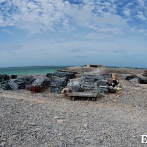 MASTER ABROLHOS SLIDESHOW 2018 147