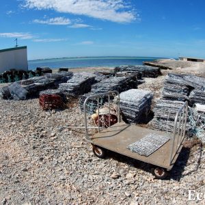 MASTER ABROLHOS SLIDESHOW 2018 148