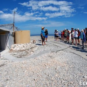 MASTER ABROLHOS SLIDESHOW 2018 149