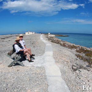 MASTER ABROLHOS SLIDESHOW 2018 151