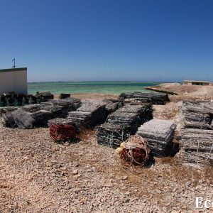 MASTER ABROLHOS SLIDESHOW 2018 152