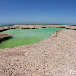 MASTER ABROLHOS SLIDESHOW 2018 154