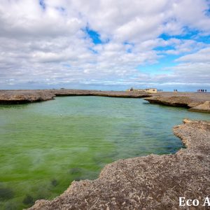 MASTER ABROLHOS SLIDESHOW 2018 155