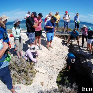 MASTER ABROLHOS SLIDESHOW 2018 156