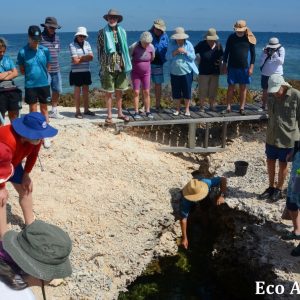 MASTER ABROLHOS SLIDESHOW 2018 157