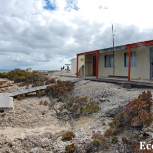MASTER ABROLHOS SLIDESHOW 2018 164