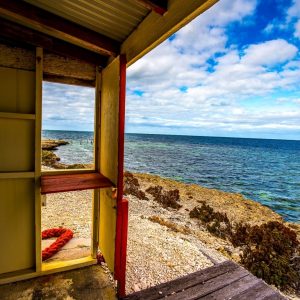 MASTER ABROLHOS SLIDESHOW 2018 165