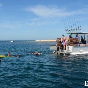 MASTER ABROLHOS SLIDESHOW 2018 167