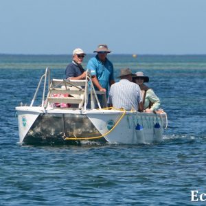 MASTER ABROLHOS SLIDESHOW 2018 168