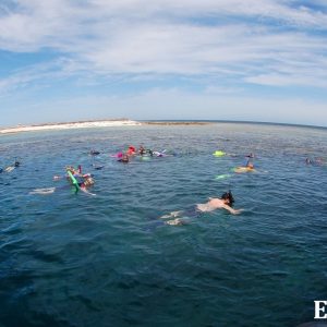 MASTER ABROLHOS SLIDESHOW 2018 169