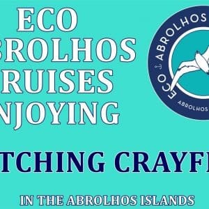 MASTER ABROLHOS SLIDESHOW 2018 170