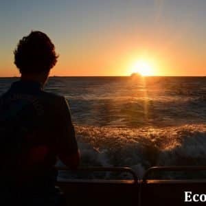 MASTER ABROLHOS SLIDESHOW 2018 171