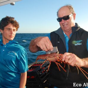 MASTER ABROLHOS SLIDESHOW 2018 178