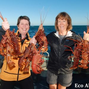 MASTER ABROLHOS SLIDESHOW 2018 181