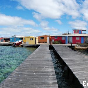 MASTER ABROLHOS SLIDESHOW 2018 188