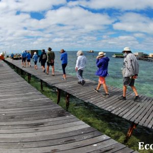 MASTER ABROLHOS SLIDESHOW 2018 190