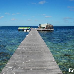 MASTER ABROLHOS SLIDESHOW 2018 191