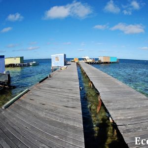 MASTER ABROLHOS SLIDESHOW 2018 192