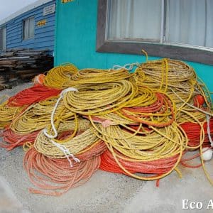 MASTER ABROLHOS SLIDESHOW 2018 194
