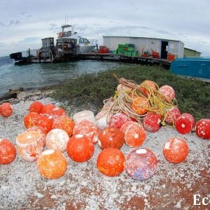 MASTER ABROLHOS SLIDESHOW 2018 195