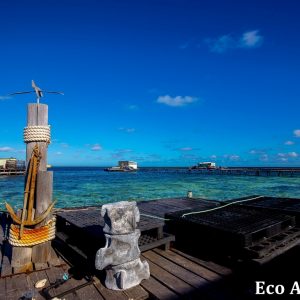 MASTER ABROLHOS SLIDESHOW 2018 198