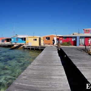 MASTER ABROLHOS SLIDESHOW 2018 202